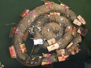 The first float on the Newtown Creek was designed in concentric circles to a mimic fairy ring, the pattern some fungi create in the ground. This design proved controversial; the mycologist who came up with the original method for using floating fungi to b