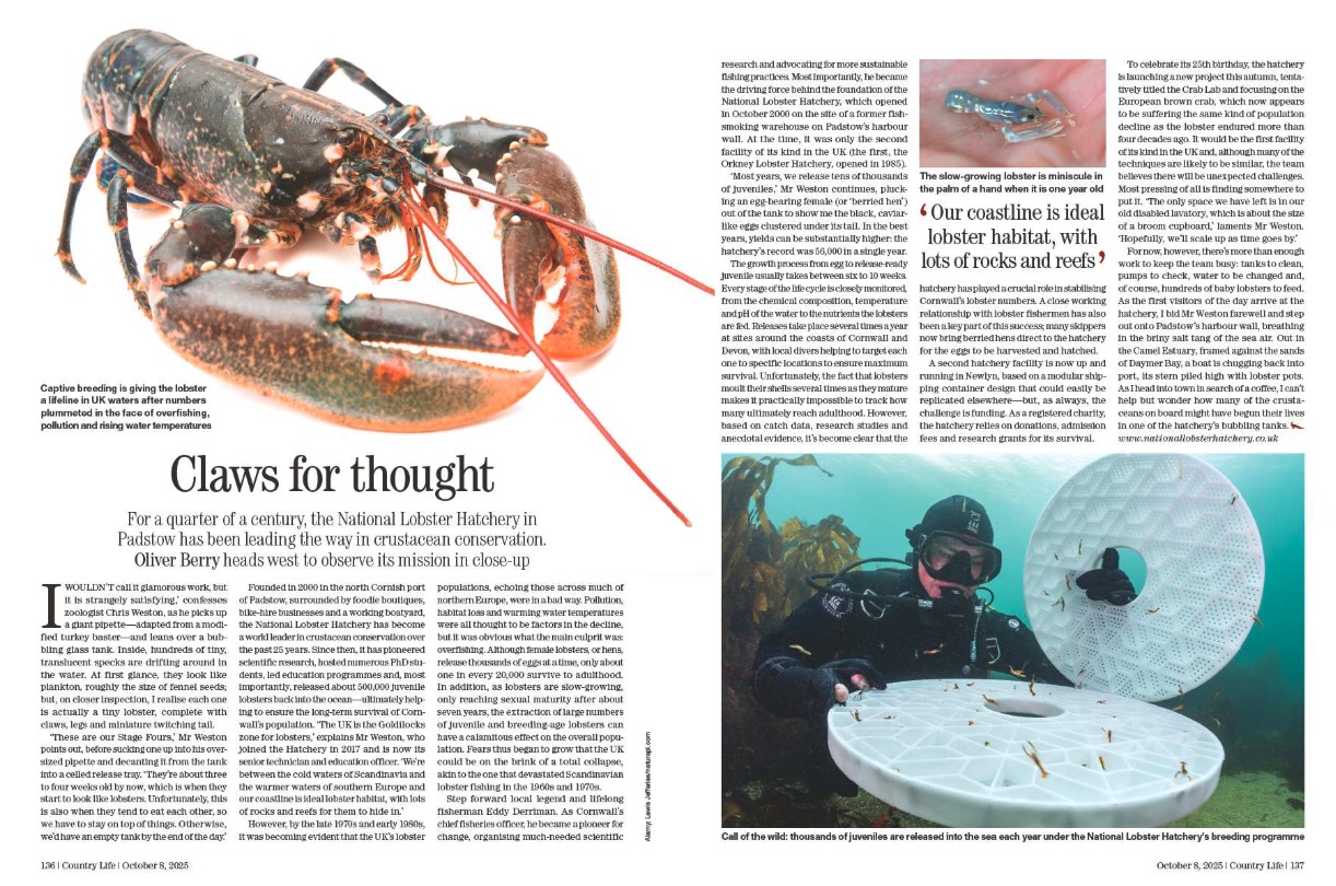 Spreads from Country Life 8 October 2025