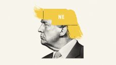 Donald Trump with Nebraska state shape covering his hair