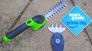 WORKPRO Cordless Grass Shear & Shrubbery Trimmer on ground