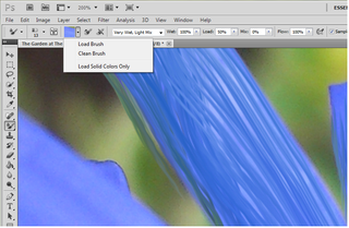 Load the brush with a color from the image and choose how long to paint with it.