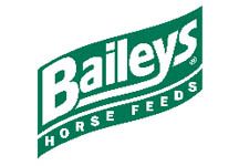 Baileys-logo1.jpg