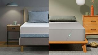 The Zinus Green Tea Memory Foam Mattress on a bed frame in a bedroom (left) and the Siena Memory Foam Mattress on a bed frame in a bedroom (right)