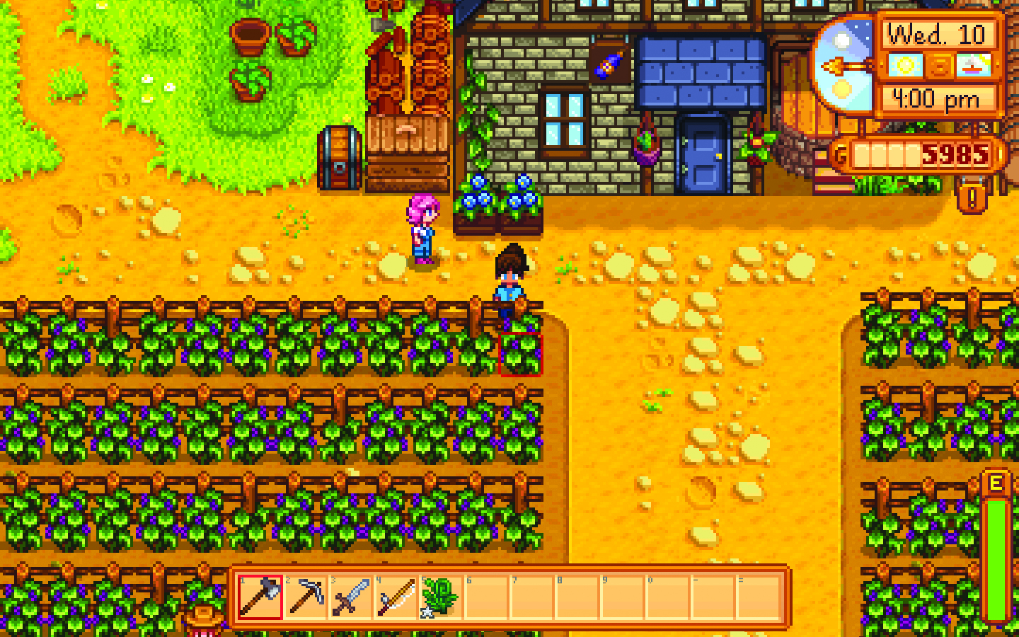 The Stardew Valley Expanded Mod Is Ready For 1 5 With A Big New Farm Pc Gamer