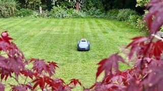 Eufy E15 robot lawn mower mowing tester's lawn in neat stripes