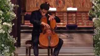 String instrument, Musical instrument, String instrument, Cellist, Violin family, Cello, Bowed string instrument, Tololoche, Violone, Music,