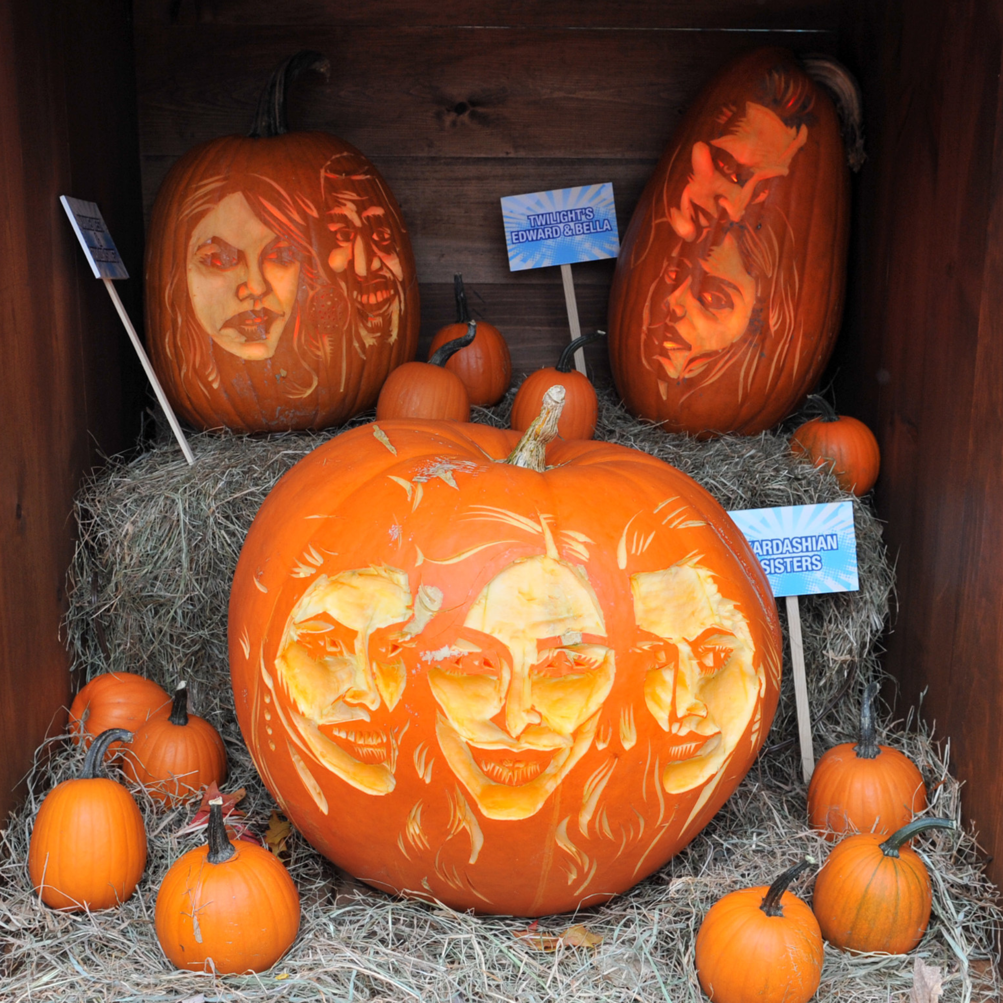 General view of celebrity pumpkins at the Old Navy Urban Pumpkin Patch on the Streets of Manhattan on October 23, 2009 in New York City. 
