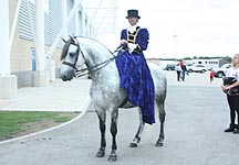 spud-equifest.jpg