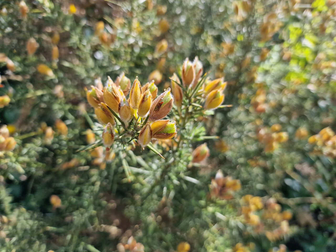 Samsung Galaxy S22 Ultra camera sample