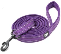Chai's Choice Premium Outdoor Adventure Padded 3M Polyester Reflective Dog Leash
$16.95 at Chewy