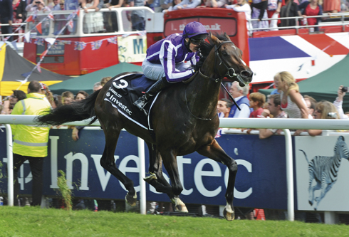 Investec Derby 2012 winner Camelot