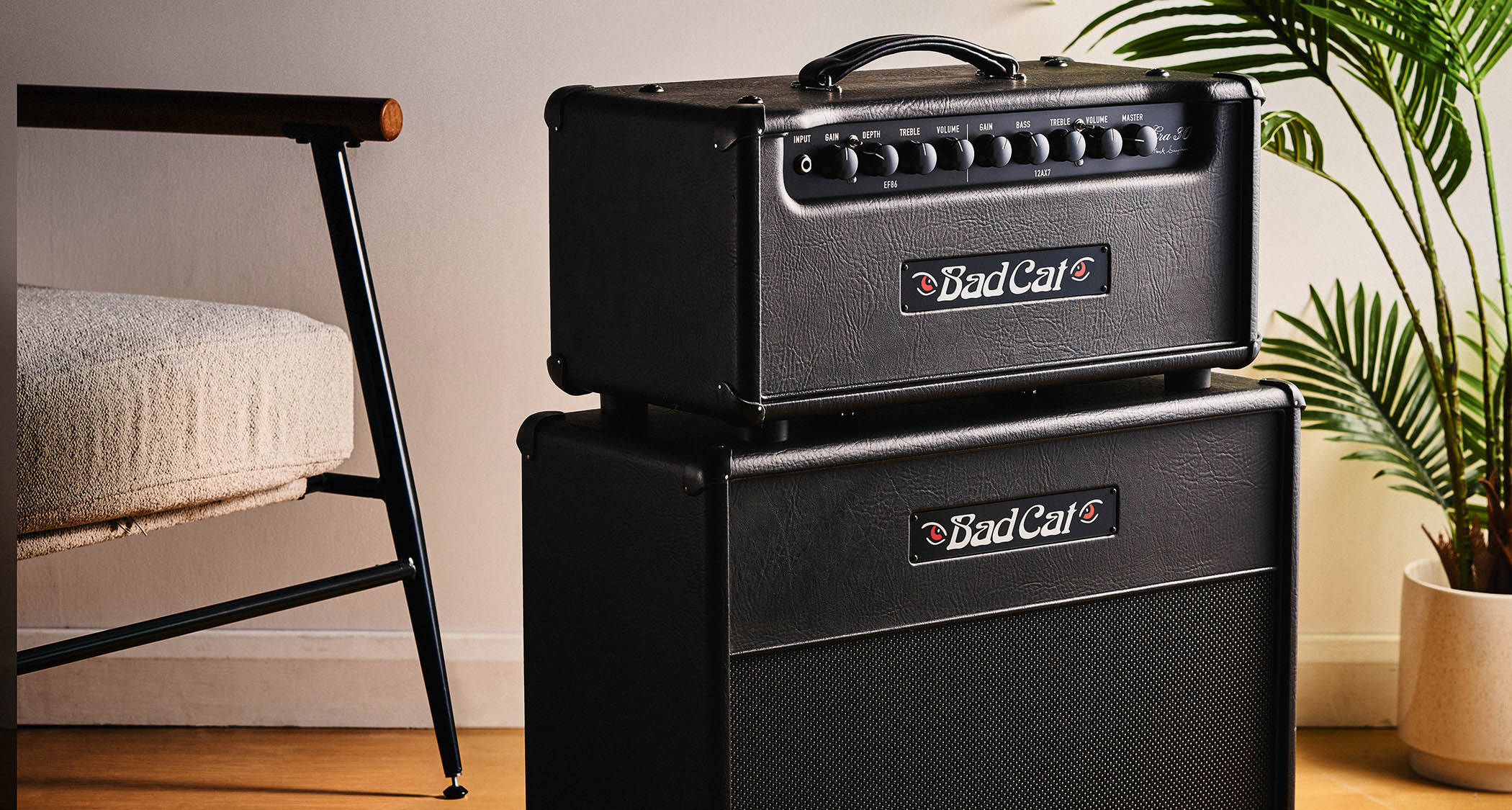 Bad Cat Era 30
