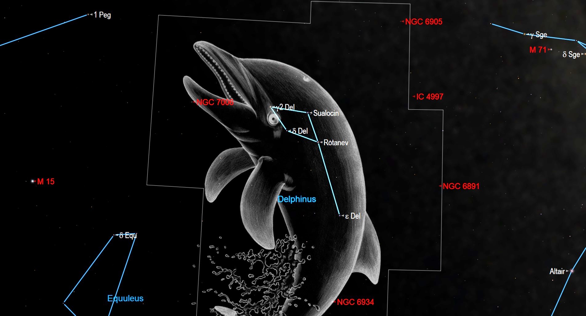 Delphinus Swims the Southern Sky (all night)