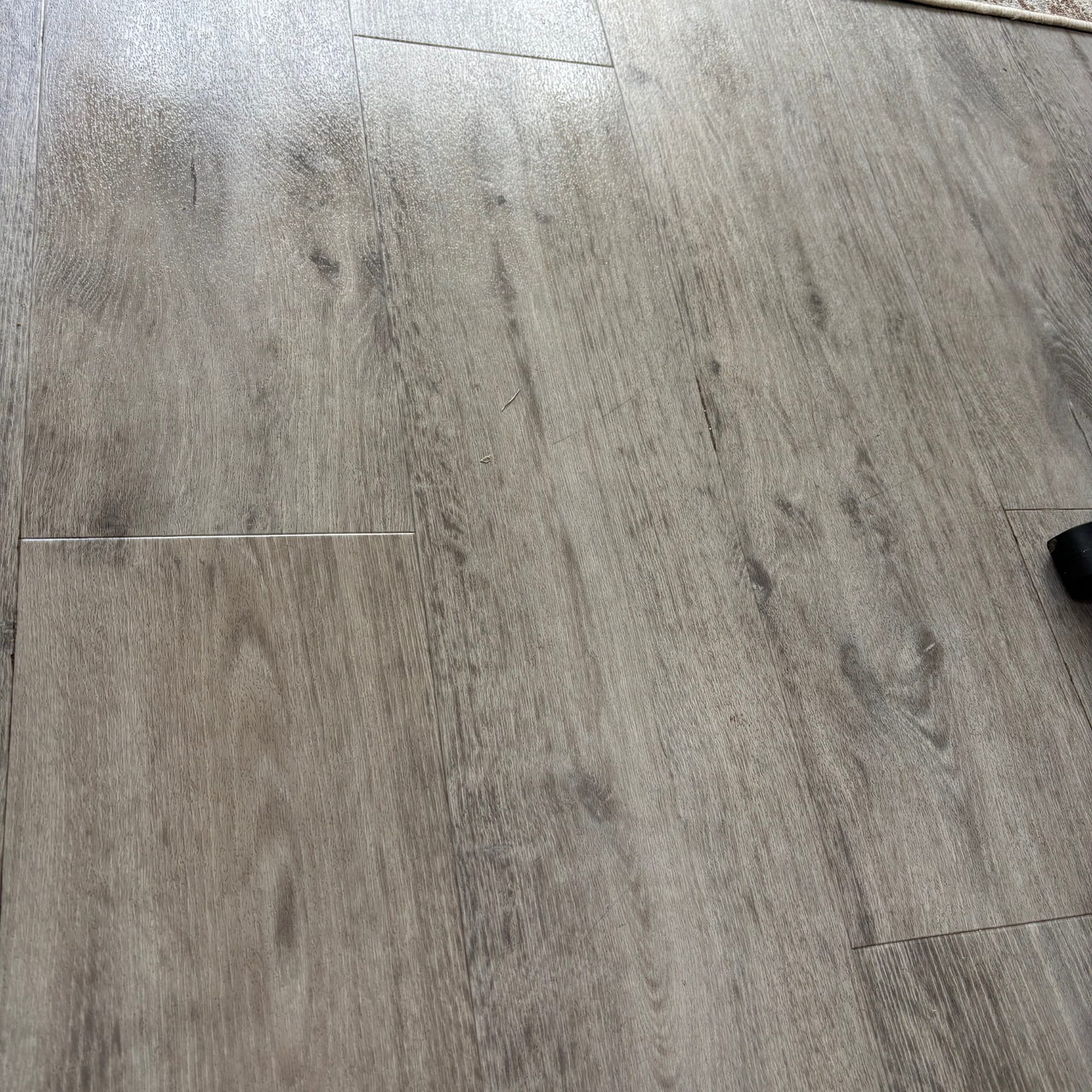 laminate floors after using Miele Triflex HX3 Aqua