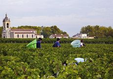 Bordeaux 2015 vintage guide