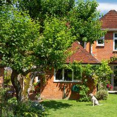 a garden with a red brick property and lush green planting and trees