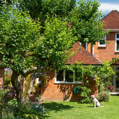 a garden with a red brick property and lush green planting and trees