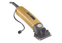 Golden-Lister-Clipper.jpg