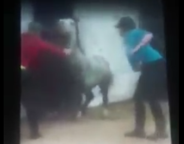 FBVideo3.png