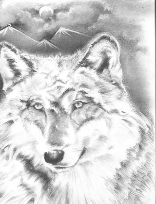 This image of a wolf was drawn by Troy, a student of Marc Bekoff at the Boulder, Colo., county jail.