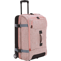 20% off AmazonBasics Luggage