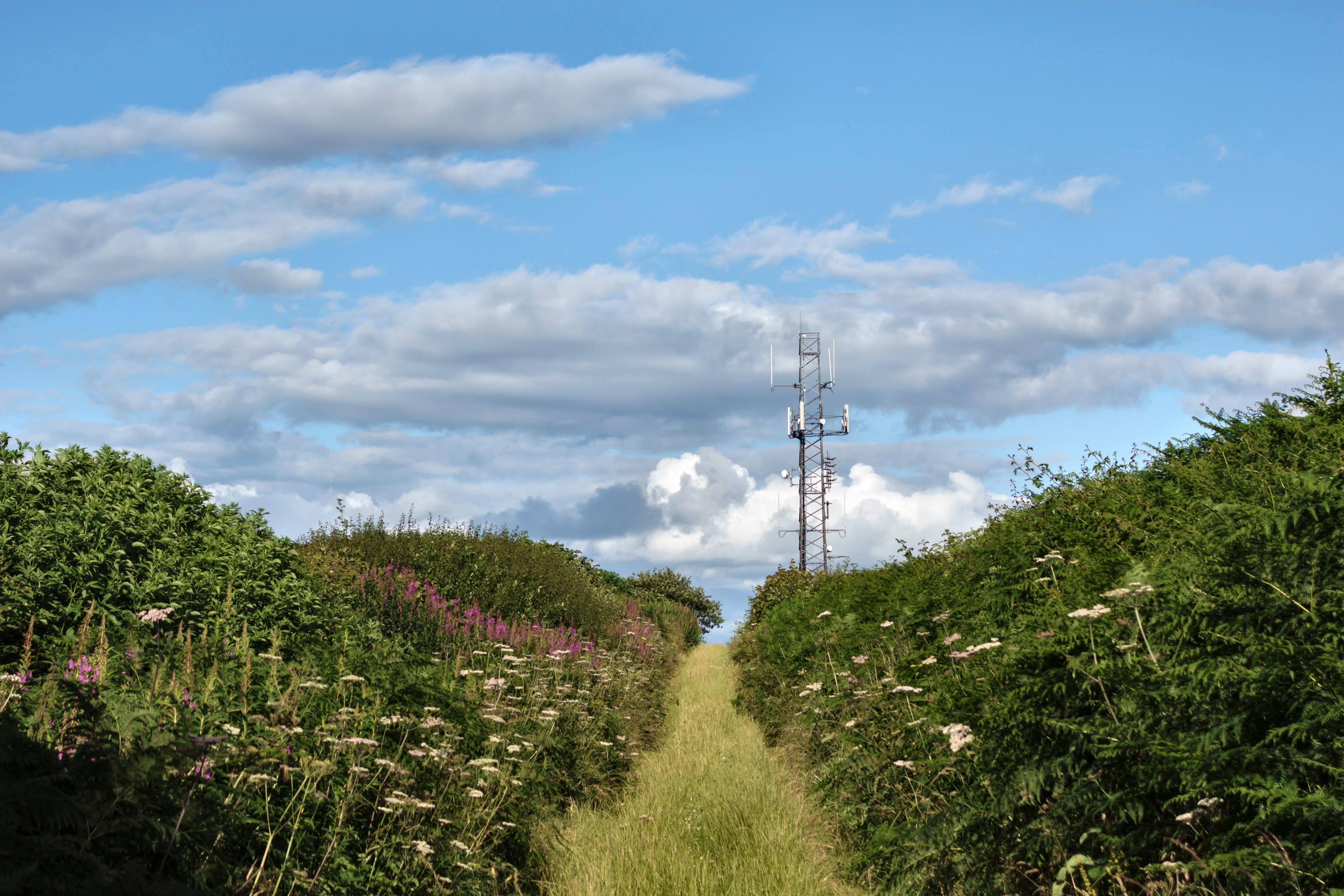 A mobile phone mast in the countryside