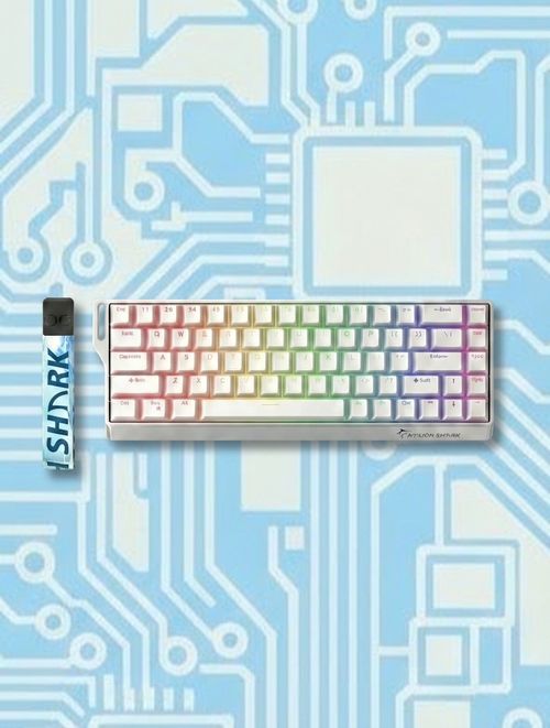 Gamakay x NaughShark NS68