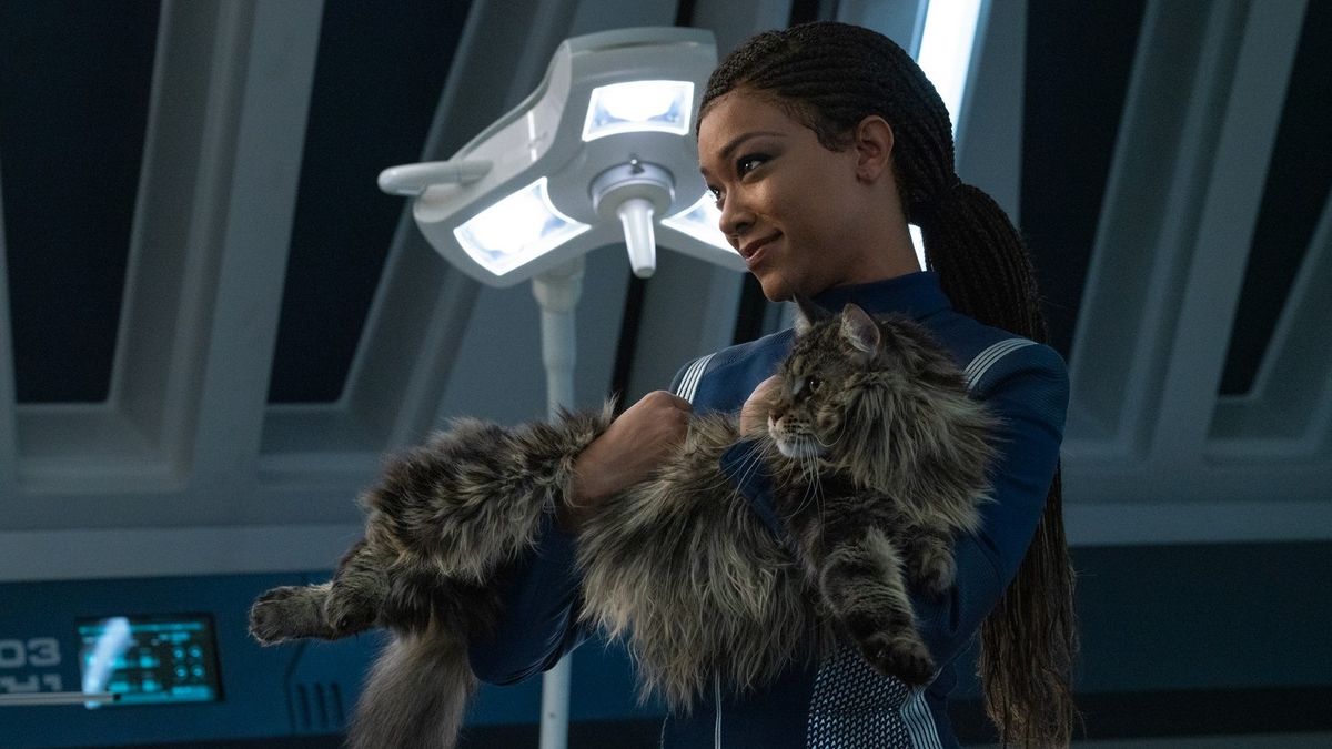 Michael (Sonequa Martin-Green) holding Book&#039;s big chonky cat in Star Trek: Discovery.