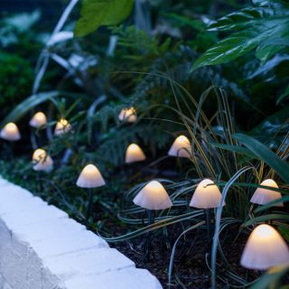 Mushroom solar lights in border