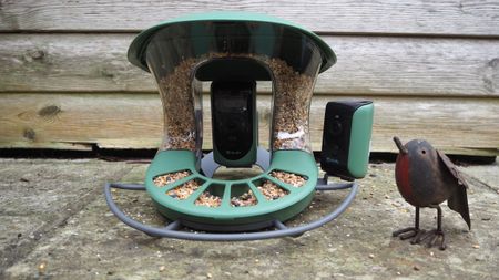 Birdfy Feeder 2 Duo