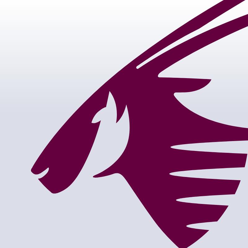 Qatar Airways promo codes