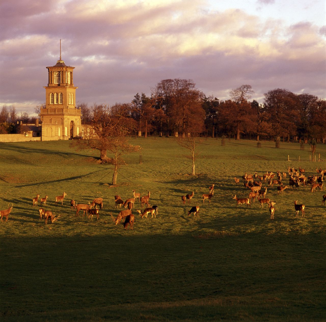 The observatory tower at Gunton Park, as it appeared in Country Life in 1997.