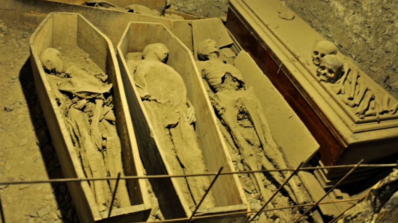 St Michan&amp;#039;s Church mummies