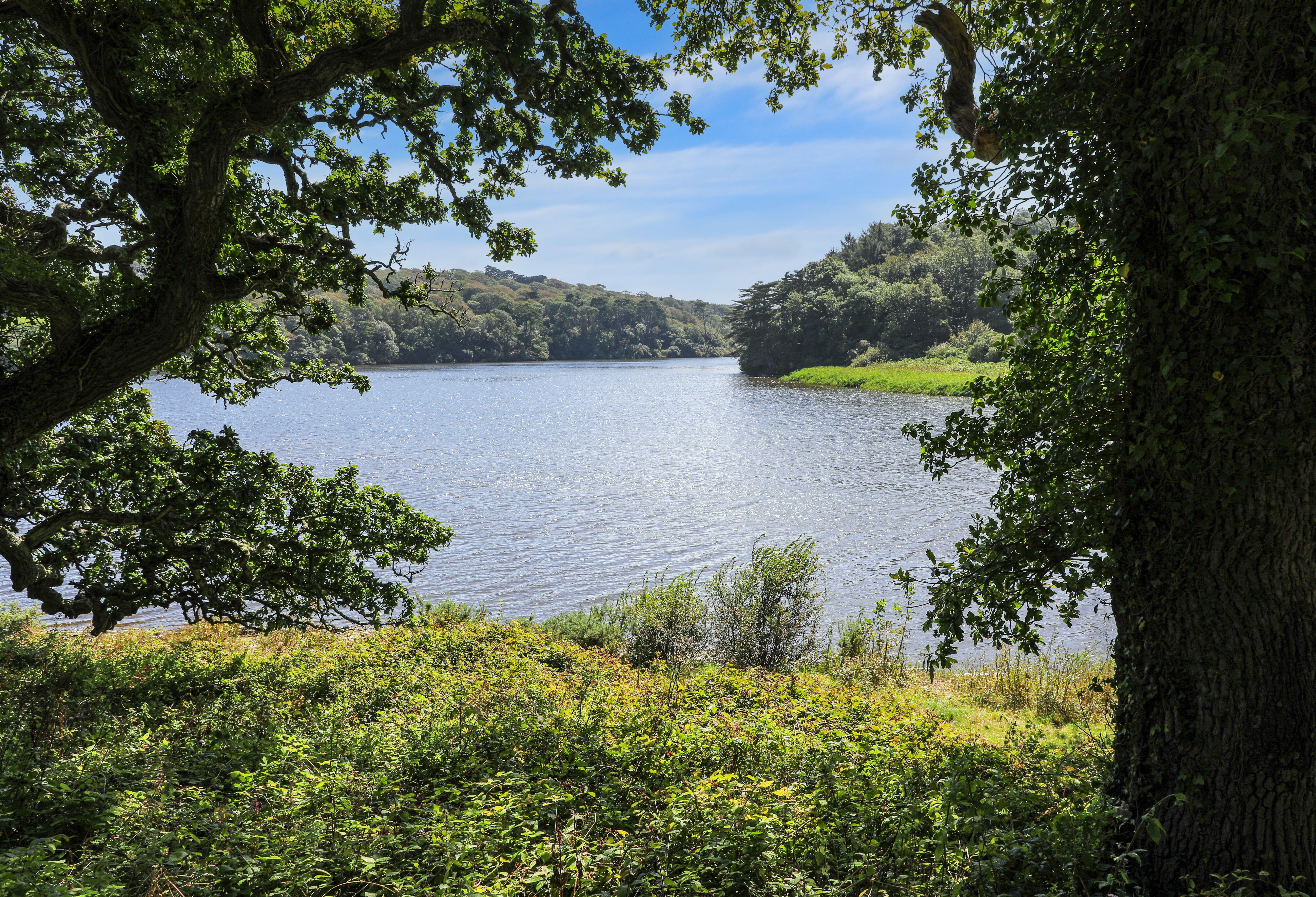Loe Pool