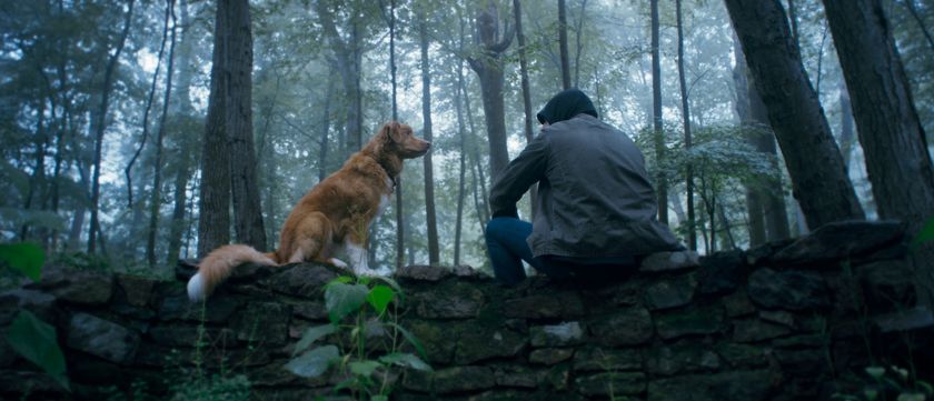 Indy and Shane Jensen in Ben Leonberg’s GOOD BOY.