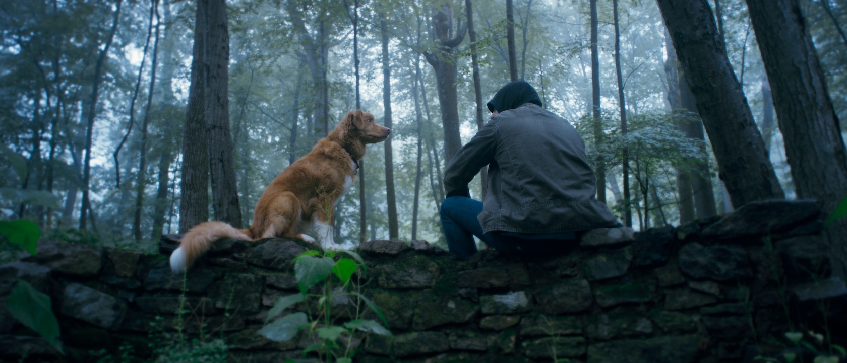Indy and Shane Jensen in Ben Leonberg’s GOOD BOY.