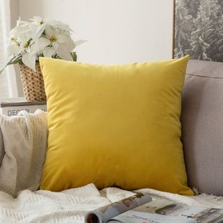 Warisi Square Velvet Pillow Cover and Insert & Reviews | Wayfair