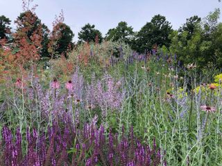 Tom Stuart-smith garden at RHS Hampton Court Garden festival 2021