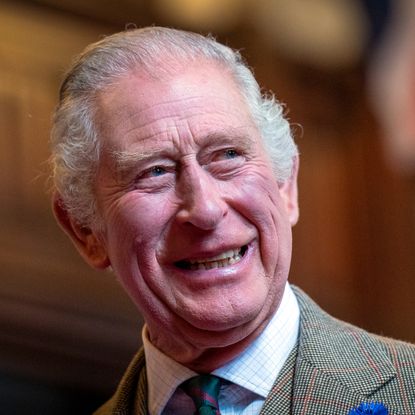 A headshot of King Charles smiling and looking to the left wearing a herringbone print suit and a green and purple tie