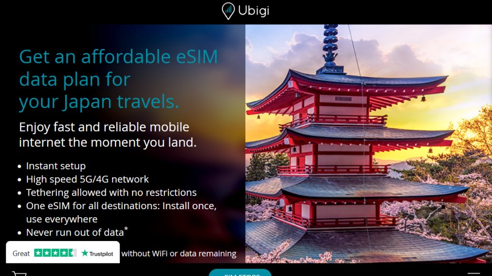 Ubigi website screenshot (November 2025).