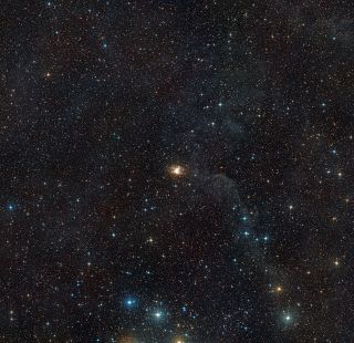 This wide-field image shows the patch of sky around the Toby Jug Nebula (IC 2220). This view was created from photographs forming part of the Digitized Sky Survey 2. The spikes and blue circles around the stars in this picture are artifacts of the telescope and the photographic process.