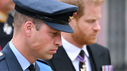 rince William, Prince of Wales and Prince Harry, Duke of Sussex during the State Funeral of Queen Elizabeth II at Westminster Abbey on September 19, 2022 in London