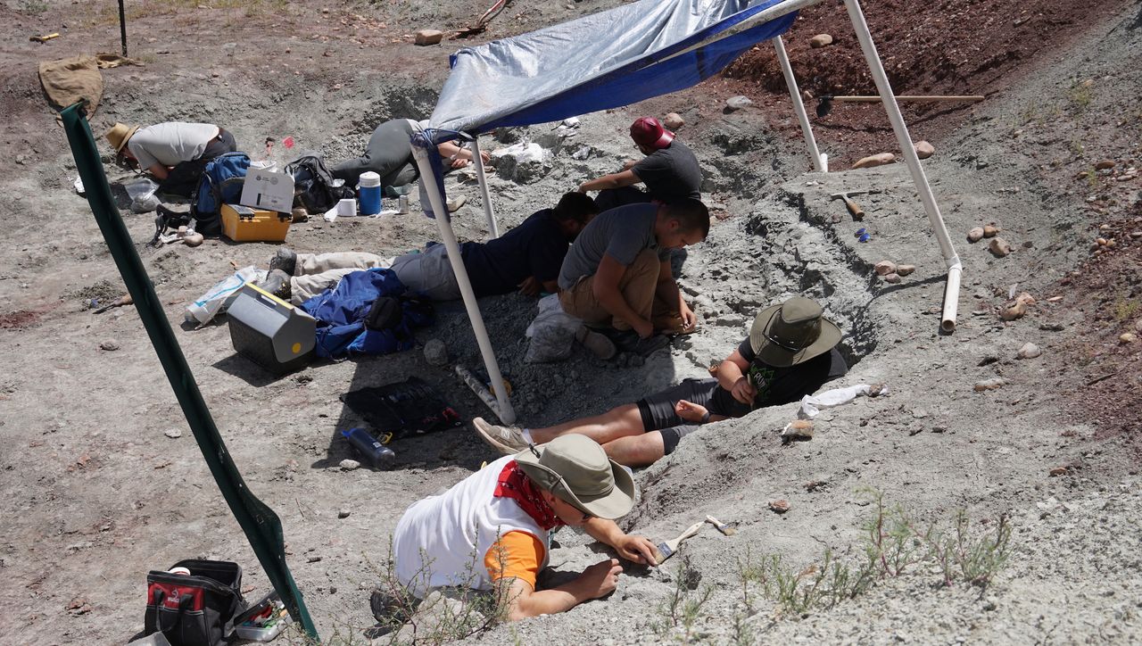 The site where researchers found the lagerpetid Dromomeron.