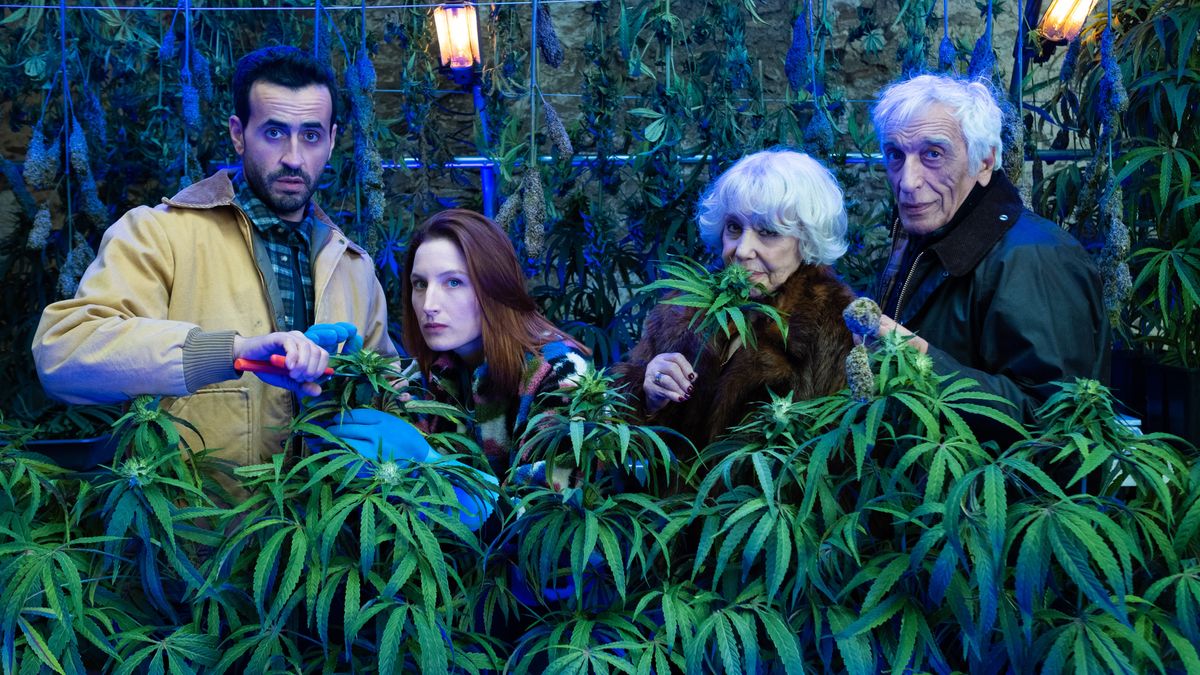 The best French TV shows on Netflix, from Lupin to Marseille TechRadar