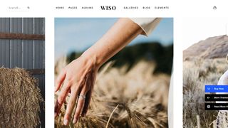 Best wordpress themes for photographers