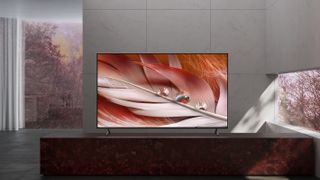 The Sony X90J (XR-65X90J) TV in a grey room displaying a macro shot of a pink feather