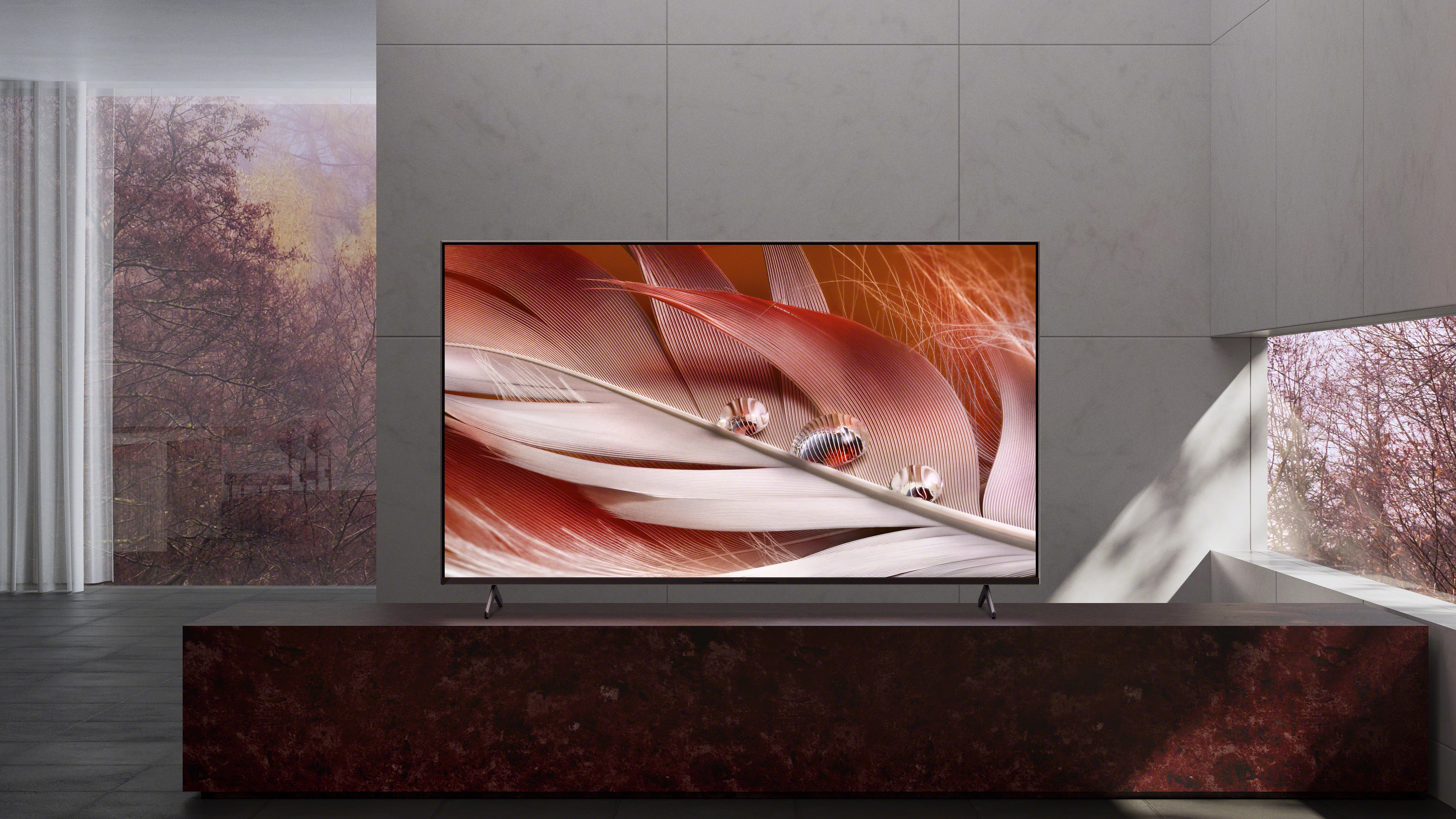 Sony Bravia X90J showing white feather