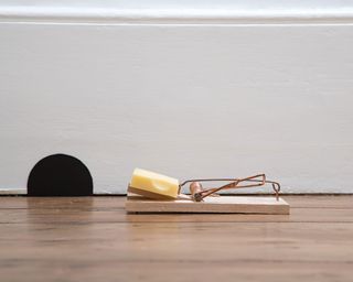 Mouse trap with cheese ready to spring, on a wooden floor, against a cartoon-like black semi-circle mouse hole graphic in the white wall behind