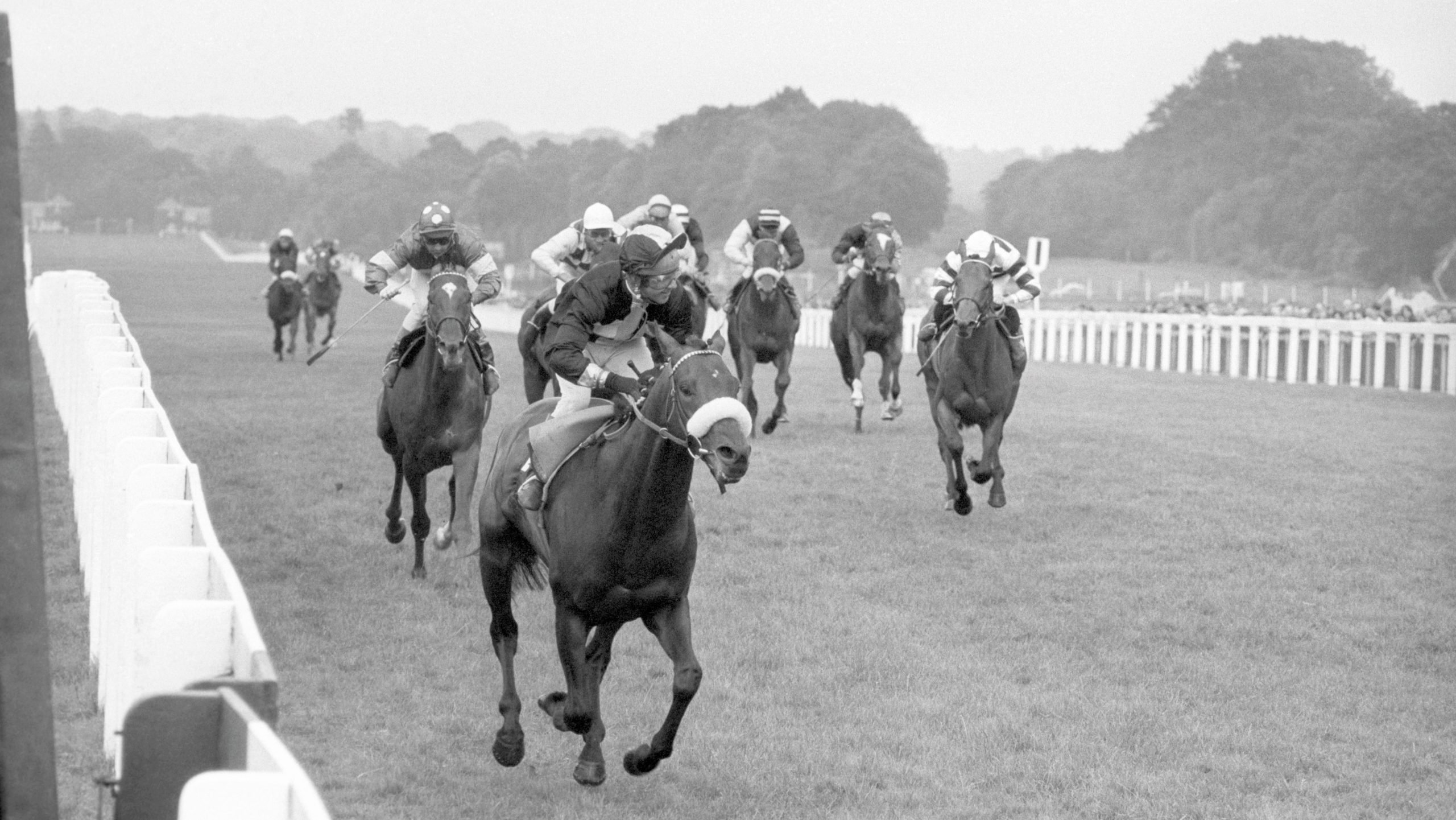 "Mill Reef", foreground, ridden by Geoff Lewis, winning the King George VI and Queen Elizabeth Stakes at Ascot from "Ortiz", ridden by Duncan Keith (extreme left) and "Acclimatisation", ridden by Jean Dessaint (behind the winner and right of the second)