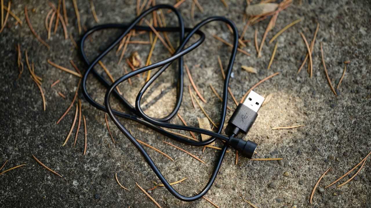 Rotor 2INpower SL charging cable